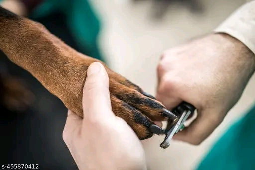 *Designer Brushes & Combs for Pets*