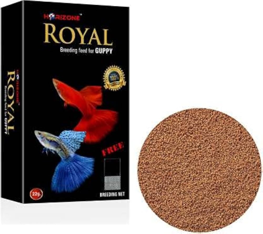 Royal guppy food