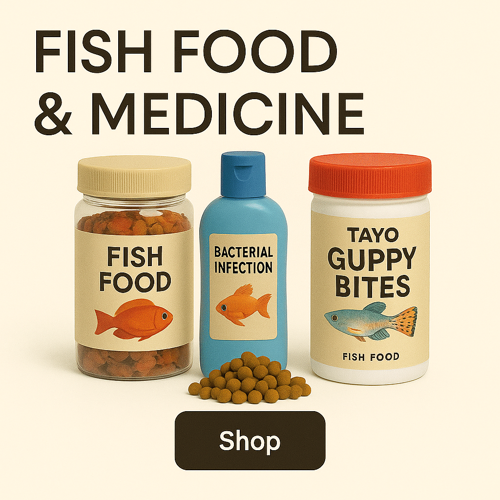 🍽️ Fish Food & Medicine