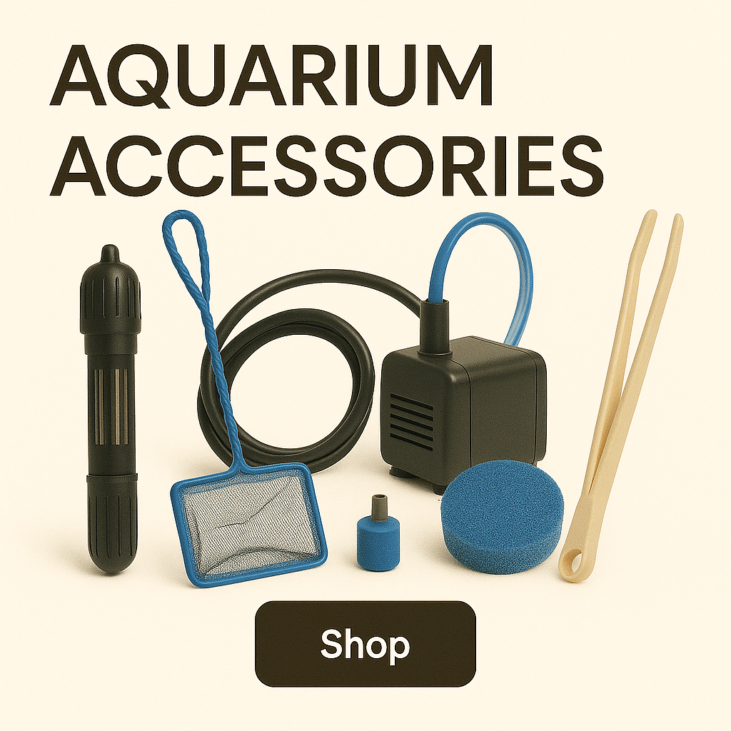 🛠️ Aquarium Accessories
