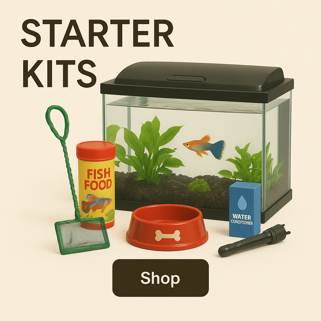 🎁 Starter Kits