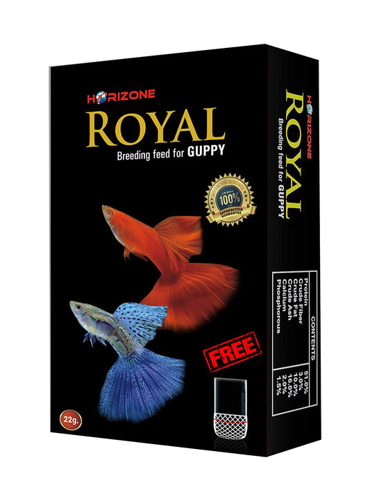 Royal guppy food